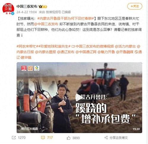 石头镇最新爆料新闻报道,揭秘神秘事件背后的真相