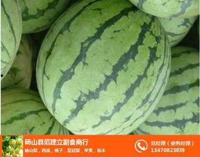 砀山吃瓜最新事件爆料,最新爆料揭示惊人内幕