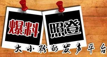 襄阳新闻大爆料最新,揭秘本地热点事件背后的真相！
