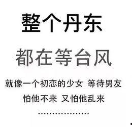 最新台风爆料新闻内容,超强风暴来袭，多地预警升级！”