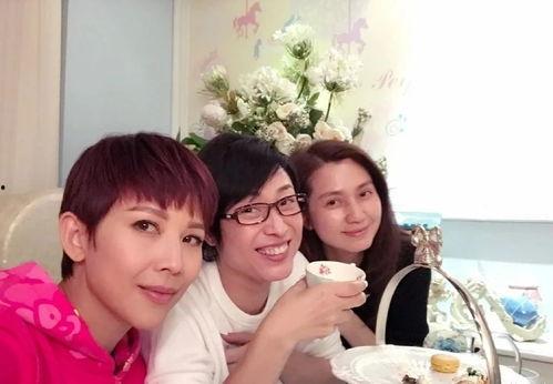 娱乐大爆料陈法蓉,娱乐圈背后的故事与真相