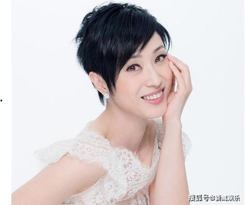 娱乐大爆料陈法蓉,娱乐圈背后的故事与真相