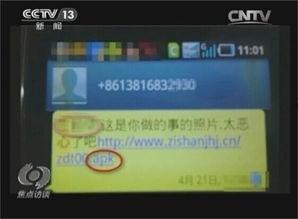 cctv新闻爆料微信,微信最新动态揭秘，功能升级引关注