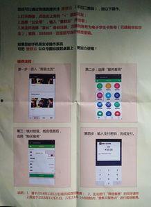 重庆市教委最新爆料信息,教育改革动态及政策调整全解析