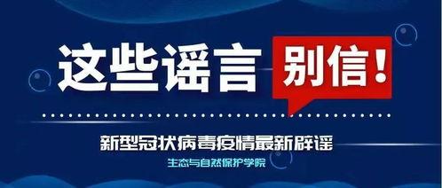 明辨真假爆料怎么办啊视频