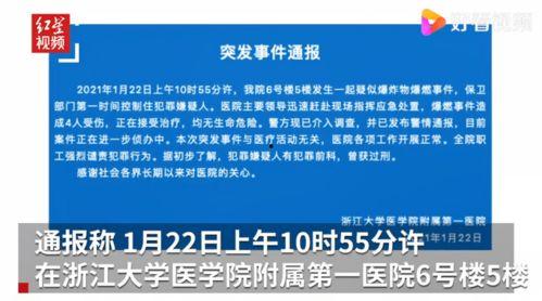 浙江爆料事件最新消息今天,真相揭晓，影响深远！