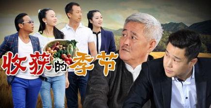 电视剧收获的季节全集在线观看,全集剧情回顾，温情岁月里的感人故事