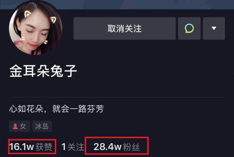 圈内爆料的号有哪些,圈内爆料号背后的热门话题与幕后故事