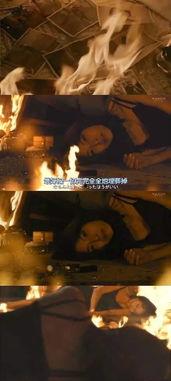 电影玻璃芦苇在线观看,穿越光影的浪漫之旅