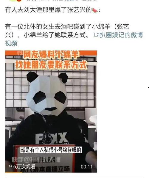 刘大锤最新爆料小绵羊,小绵羊背后的惊人真相