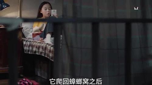 端姐被人爆料视频,揭秘背后真相与网络舆论的漩涡