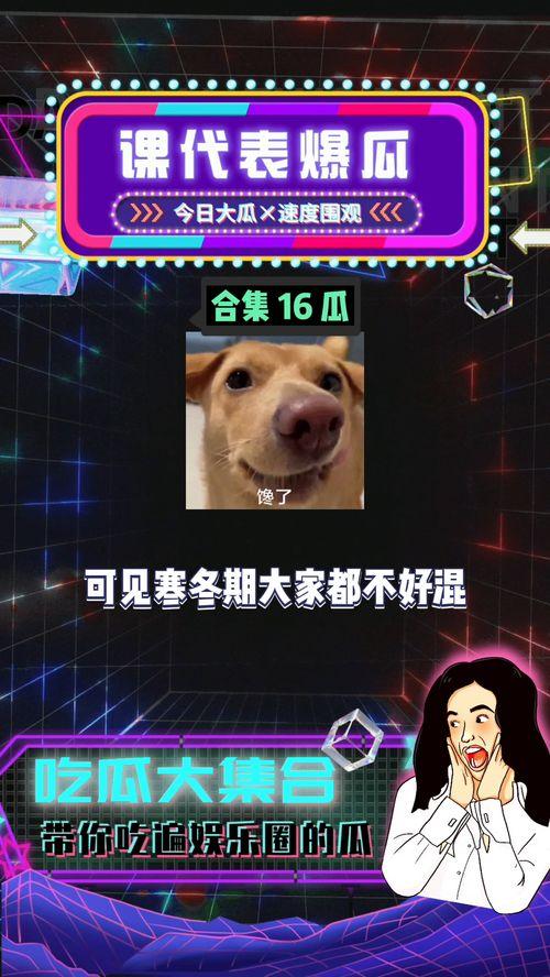 娱乐八卦吃瓜网站大全免费,独家盘点各大免费娱乐八卦网站大全